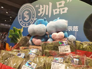圳品來襲 供深食品銷售火爆，龍崗人搶購指南